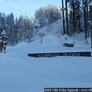 Erika Sappada